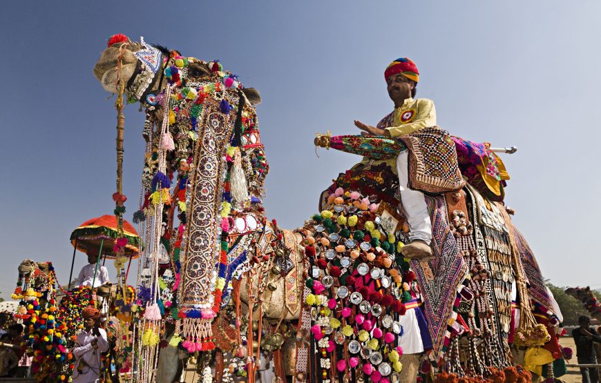 Pushkar Fair 2N/3D